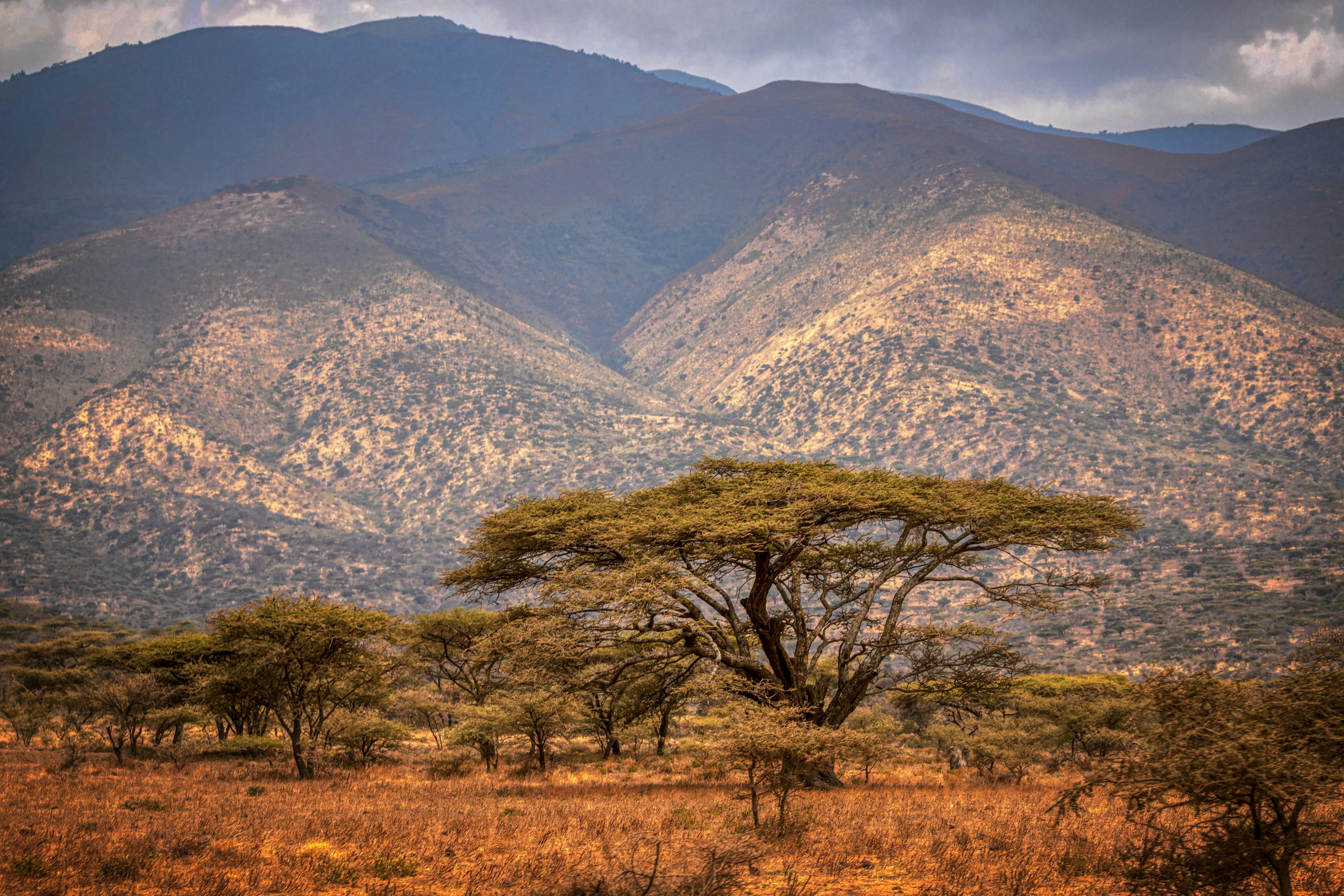 Biking Safari & Empakai to Lake Natron Trek